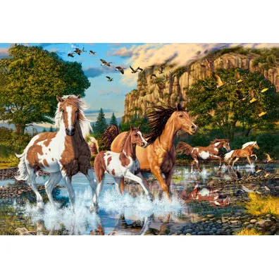Puzzle 1000 el. Horse Wonderland Castorland
