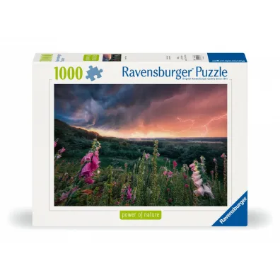 Puzzle 1000 el. Nadchodzi burza Ravensburger