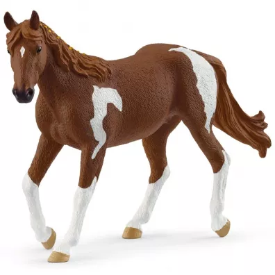 Klacz rasy Paint Horse