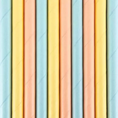 PartyDeco S�omki papierowe Summer time 19.5cm 10 szt.