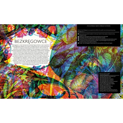 Gabinet owad�w (i innych ma�ych stworze�)