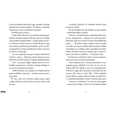 Sprawa zaginionej pery. Roryk. Niemiay detektyw. Tom 1
