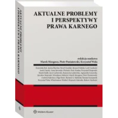 Aktualne problemy i perspektywy prawa karnego
