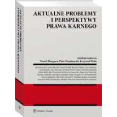 Aktualne problemy i perspektywy prawa karnego