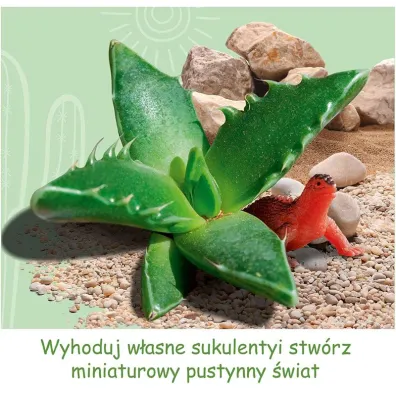 Zestaw Pustynia Kaktus�w Kosmos