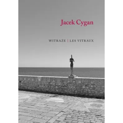 Witra�e / Les vitraux - Jacek Cygan