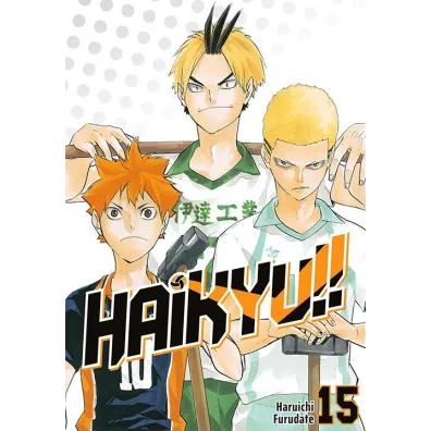 Haikyu!! #15 - Haruichi Furudate