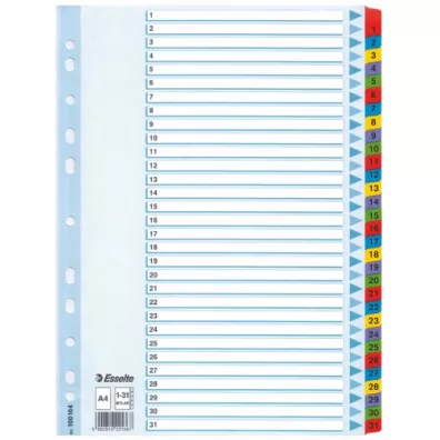 Esselte Przekadki kartonowe Mylar A4 1-31 biae