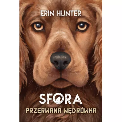 Przerwana w�dr�wka. Sfora. Tom 4 - Erin Hunter