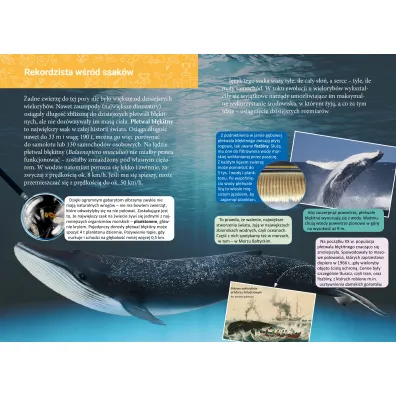 Ksi��ka edu. B5 Ma�a encyklopedia. Rekordy przyrody SKRZAT 078534
