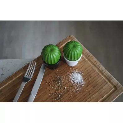 Qualy Mynek do soli lub pieprzu Tasty Cactus 10252-BK-GN