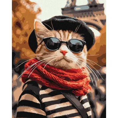 Ideyka Malowanie po numerach - Puszysty w Pary�u 40x50cm