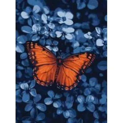 Ideyka Malowanie po numerach - �wiat�o w�r�d ciemno�ci 30?40cm