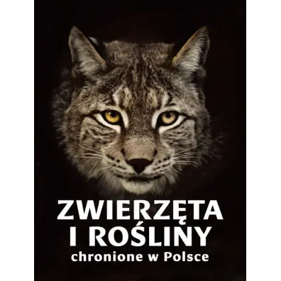 Zwierz�ta i ro�liny chronione w Polsce - Izabella Sie�ko-Holewa, Sylwia Weber
