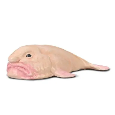 Blobfish