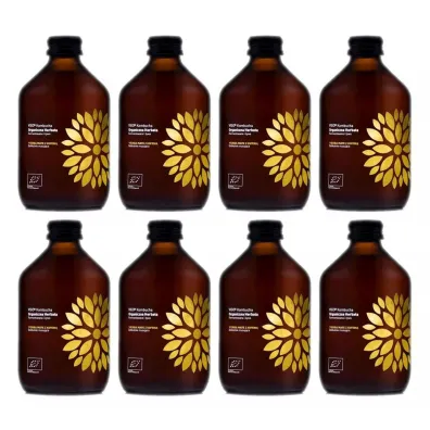 Vigo Yoko Kombucha z yerb� mate bezglutenowa Zestaw 8 x 330 ml Bio