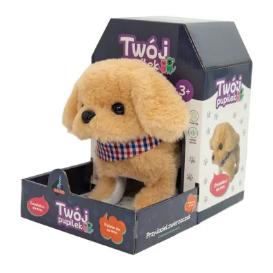 Tw�j pupilek piessek Askato