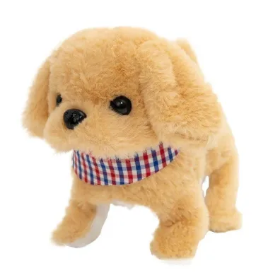 Tw�j pupilek piessek Askato