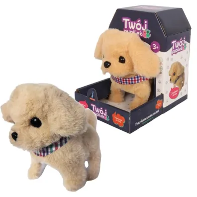 Tw�j pupilek piessek Askato
