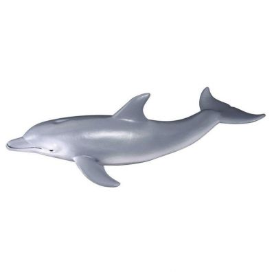 Delfin butonosy