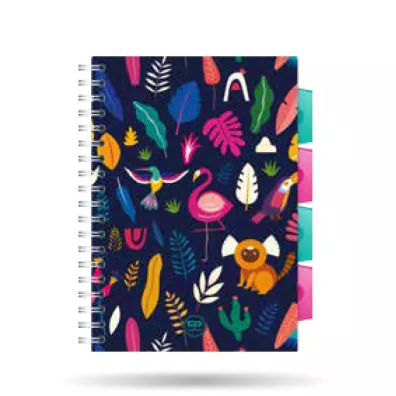 CoolPack Ko�ozeszyt A5 PP Lady Color kratka 100 kartek