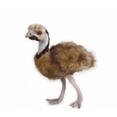 Emu 70769 National Geographic