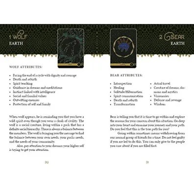 The Wild Elemental Oracle