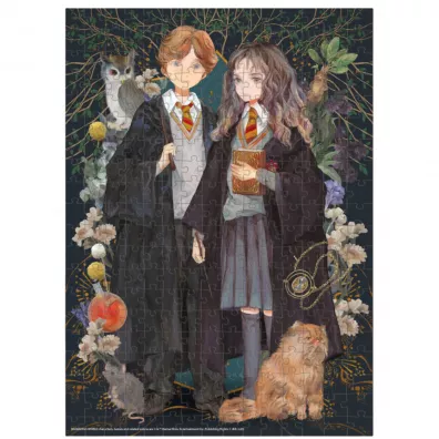 Puzzle 300 el. Harry Potter. Hermiona i Ron Dodo