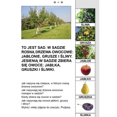 Funkcjonowanie osobiste i spoeczne. Karty pracy dla uczniw z niepenosprawnoci intelektualn. Jesie