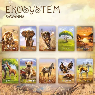 Ekosystem 3 &ndash; Sawanna
