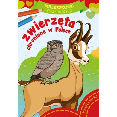 Pakiet dla przedszkolaka. Moje zwierzaki, Maluszkowe malowanie: Motyle, Bajki, Zwierzaki, Kucyki, Zwierz�ta chronione w Polsce
