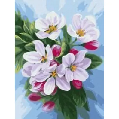 Ideyka Malowanie po numerach - Kwitni�cie jab�oni 30x40cm