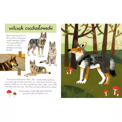 Ma�y atlas ps�w i szczeniak�w Ewy i Paw�a Pawlak�w