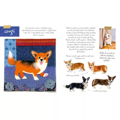 Ma�y atlas ps�w i szczeniak�w Ewy i Paw�a Pawlak�w