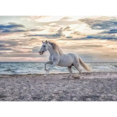 Puzzle 500 el. 2D Galop na pla�y Ravensburger