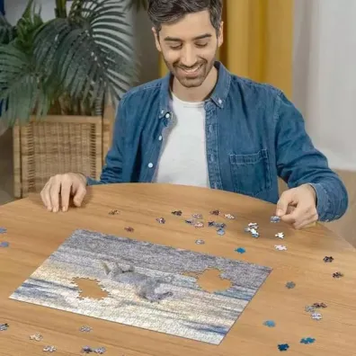 Puzzle 500 el. 2D Galop na pla�y Ravensburger