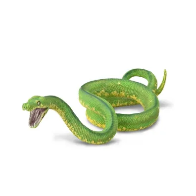 Pyton zielony