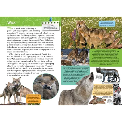 Ma�a encyklopedia. Zwierz�ta le�ne