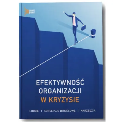 Efektywno�� organizacji w kryzysie - Rados�aw �liwka, Wojciech Rokicki