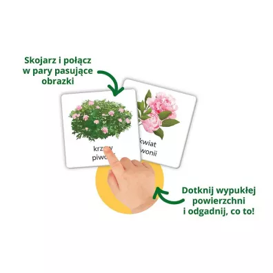 Montessori. Przyroda tu i tam. Karty sensoryczne z ksieczk. Kapitan Nauka