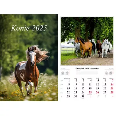 Kalendarz 2025 cienny Konie