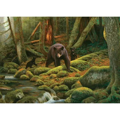 Puzzle 1000 Rodzina niedwiedzi G3 Cobble Hill