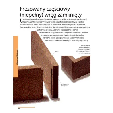Jak ��czy� drewno. Przewodnik po z��czach stolarskich
