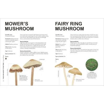 RHS Fungi for Gardeners