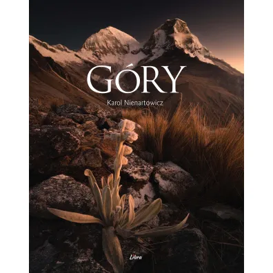 G�ry - Karol Nienartowicz
