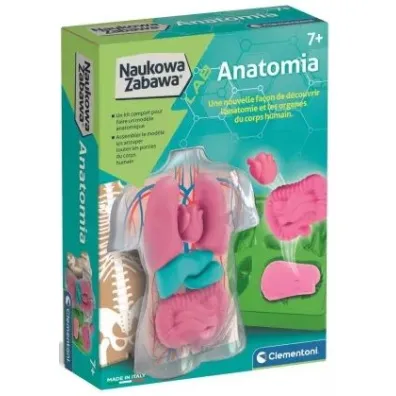 Anatomia zestaw kreatywny Clementoni
