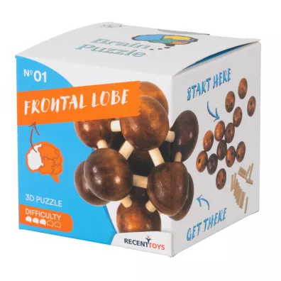 �amig��wka Brain Puzzle 1 Frontal Lobe Recent Toys poziom 3/5 G3