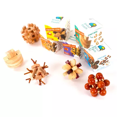 �amig��wka Brain Puzzle 1 Frontal Lobe Recent Toys poziom 3/5 G3