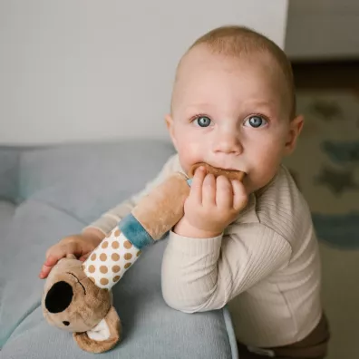 Babyono Piszczek z gryzakiem Koala Charlie