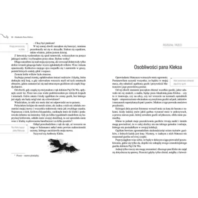 Akademia Pana Kleksa